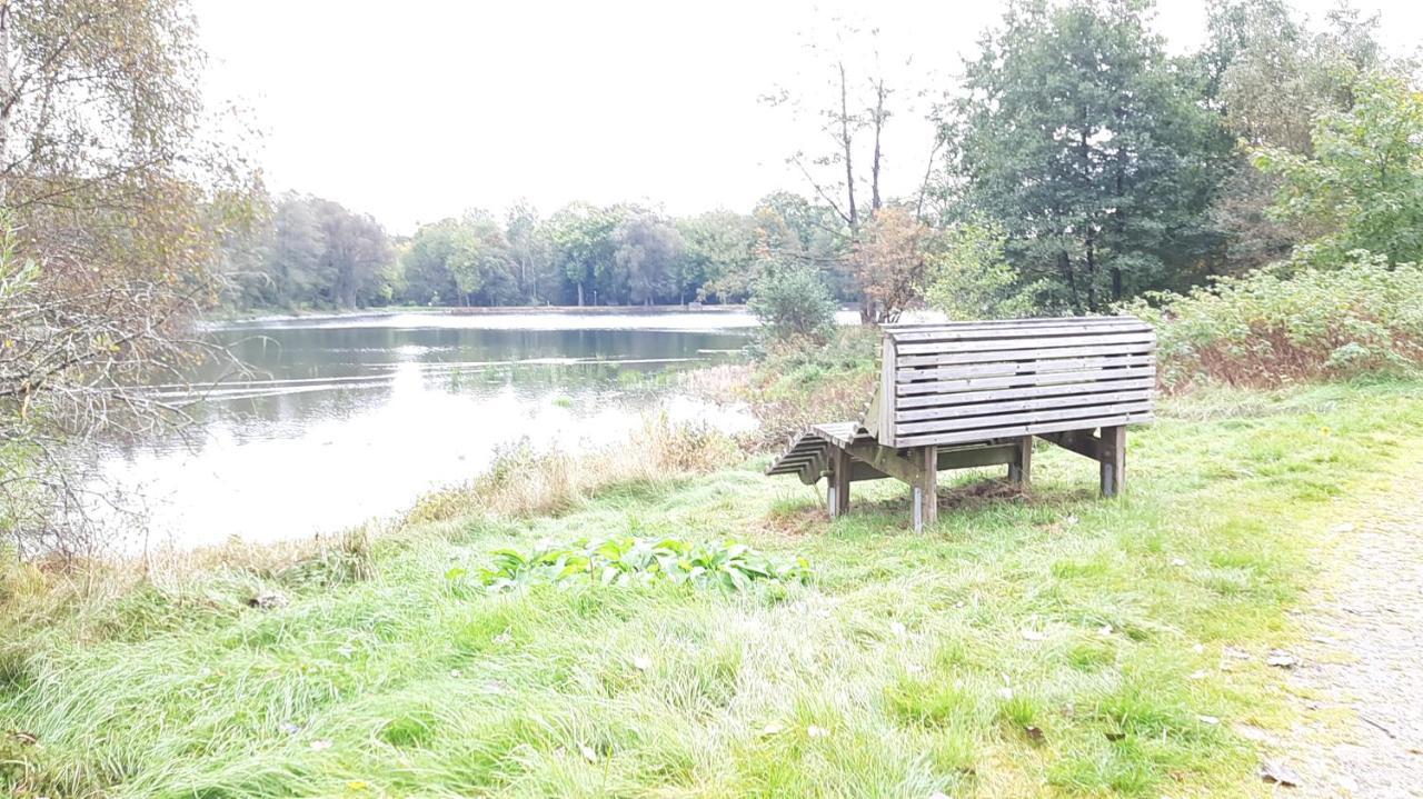 Ferienhaus Am See Lichtenberg Bayern Frankenwaldsee Bagian luar foto