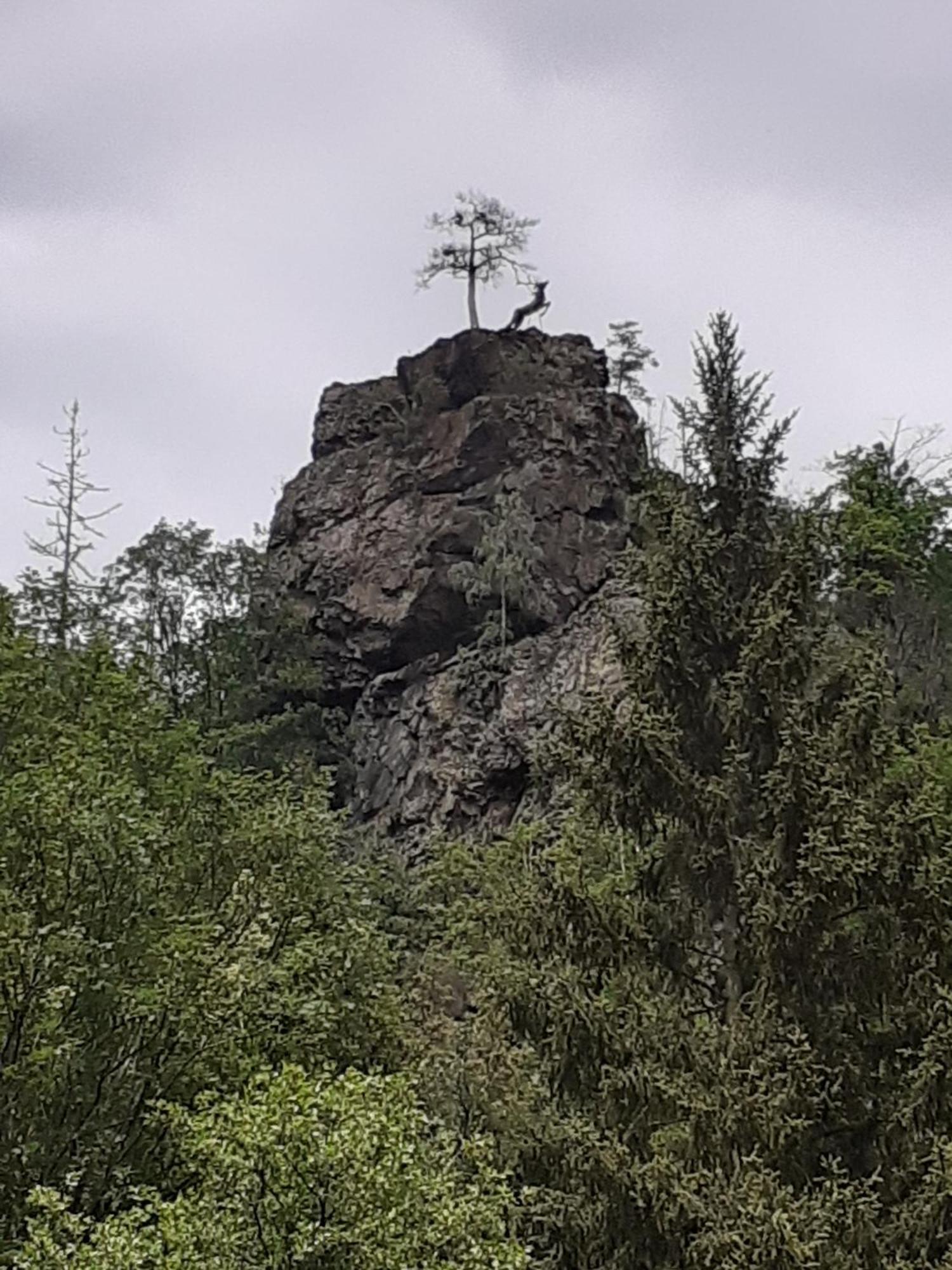 Ferienhaus Am See Lichtenberg Bayern Frankenwaldsee Bagian luar foto
